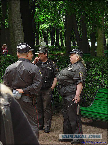Немного позитива на пятницу.