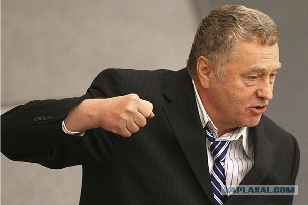 Готова ли в Киеве камера для Жириновского?