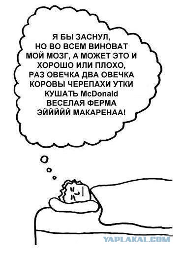 А кто не спит?