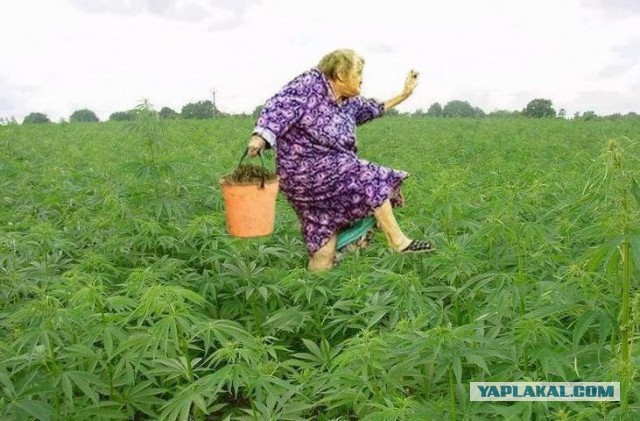 Плюсомет со шпалометом