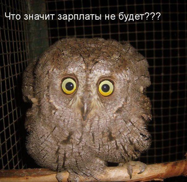 Веселые картинки