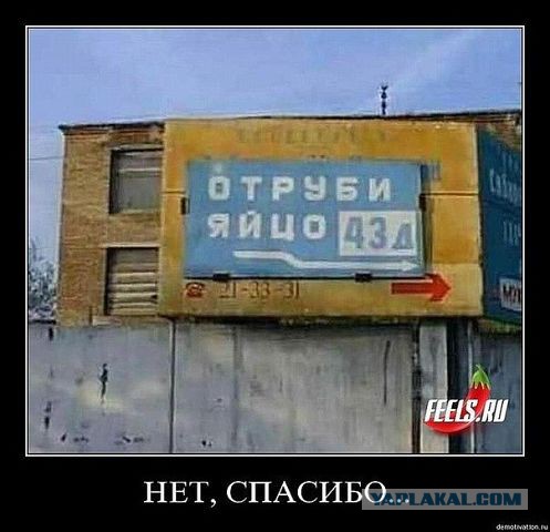 Картинки