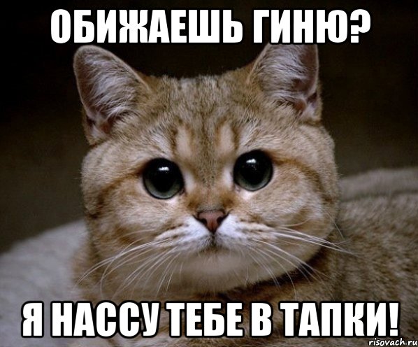 Саня?