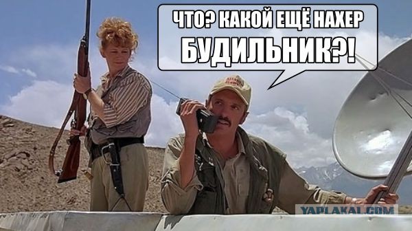 Гуманный способ избавления от кротов