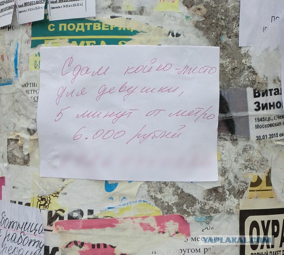 Прикольные объявления и надписи
