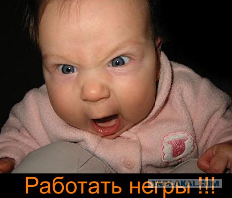 "Авито" 19-го века: "Продаются 3 девушки видные"