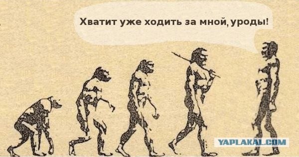 Эволюция под другим углом