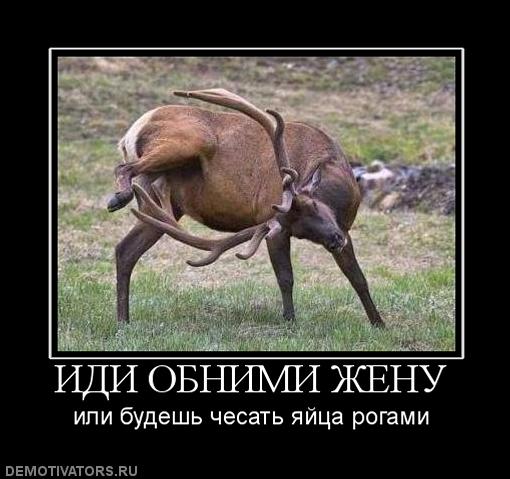 Демотиваторы из прошлого