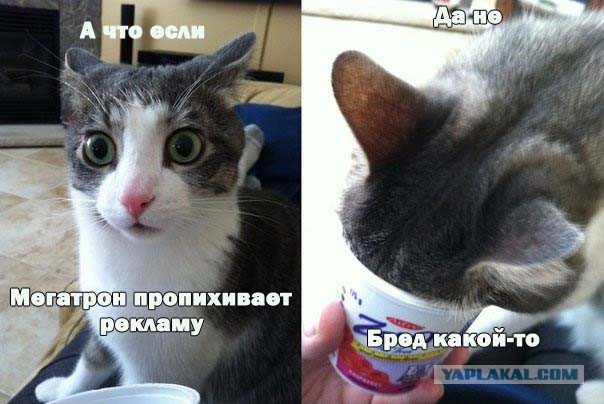 Когда реклама по-настоящему бесит!