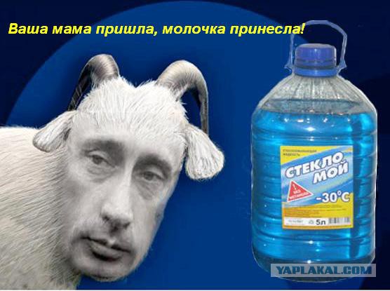 Укрологика, или как ветерана АТО не пустили в РФ