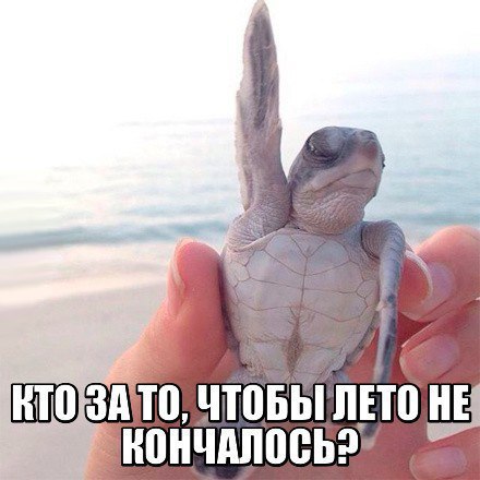 Вторник-повторник