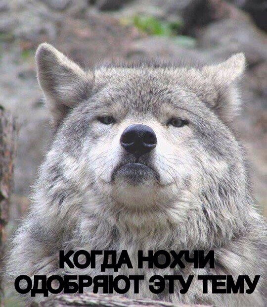 Придет серенький волчок