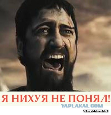Территориальный менеджер