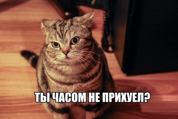 Картинки и демотиваторы