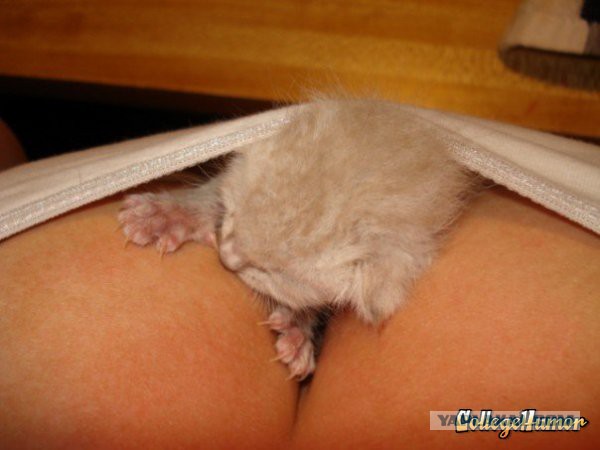 Размышления на тему об отношениях мужчин и женщин