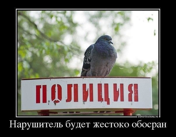 Очередная подборка картинок из сети