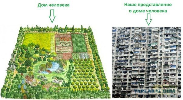 Рассуждения о СтопХаме