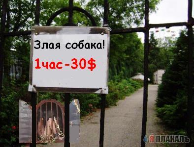Осторожно, злая собака
