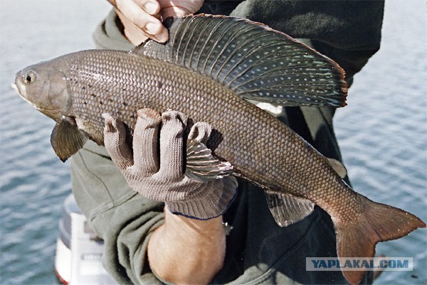 Магадан, старые и новые фотки