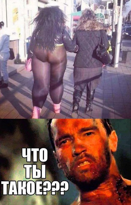 Абсурд зашкаливает