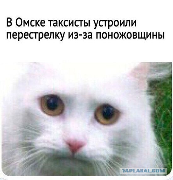 Пятничная подборка картинок