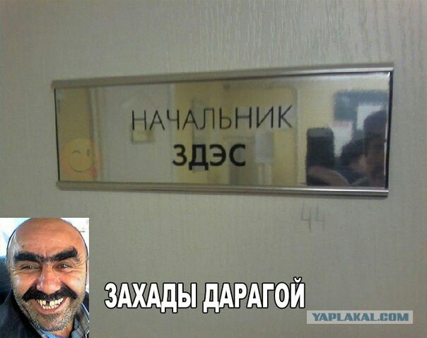 Разные картинки