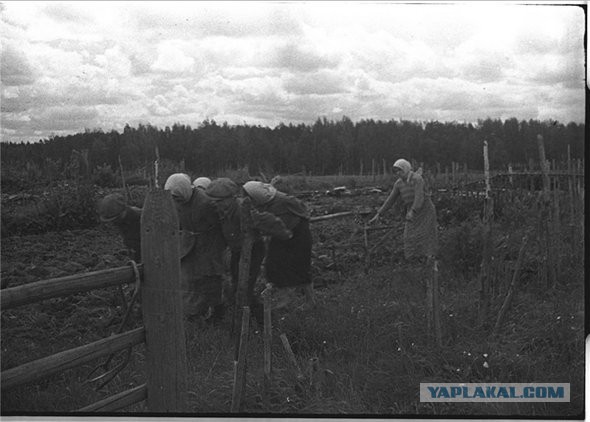 Фотографии к "Нахальному минированию" и "Лехе"
