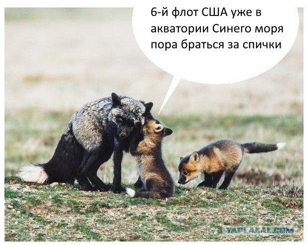 Хроники Лимпопо