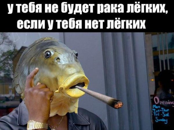 Приколы в стиле "регресс"