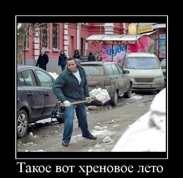 Вот оно какое, наше лето.