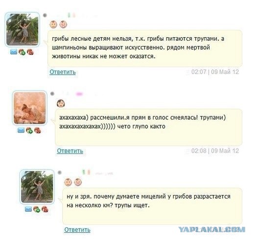 Начался грибной сезон! Небольшая памятка любителям “тихой охоты”
