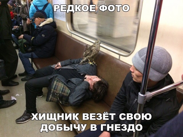 Всяко разное