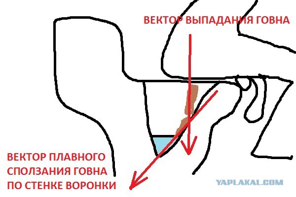 Для чего в унитазах делали полочку 
