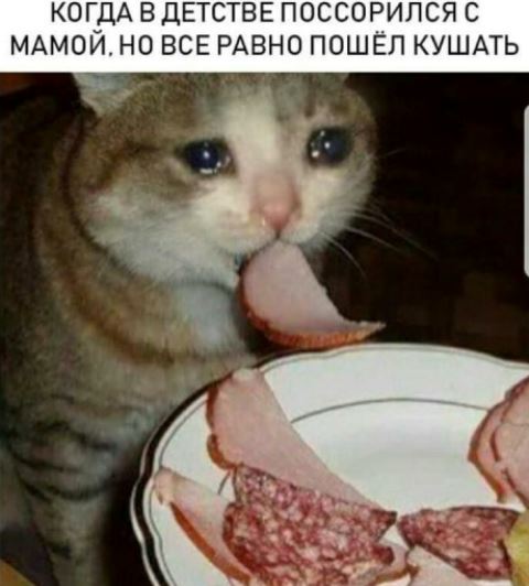 Подборка интересных и веселых картинок