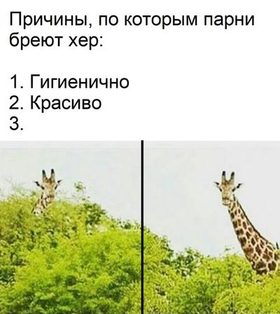 Немного картинок на вечер