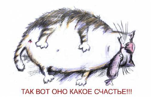 Котейко в отпуске