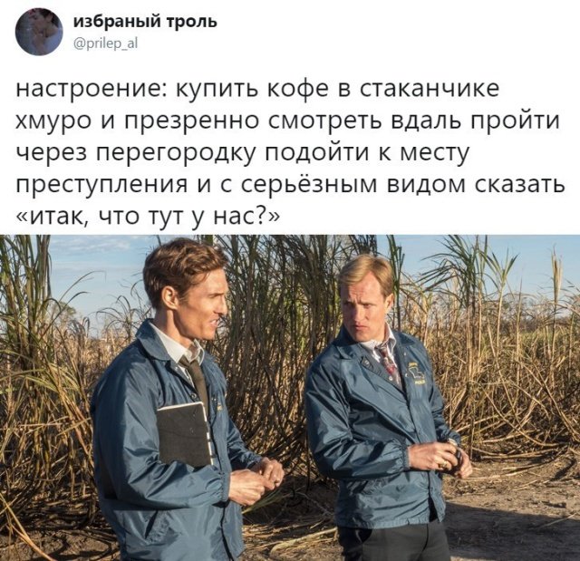 Прикольные картинки абавсём