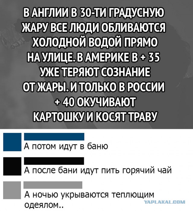 Чуток картинок 08.06.19