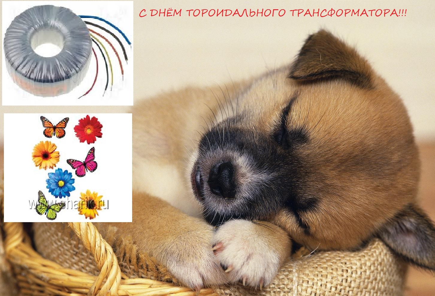 Картинка с днем цемента