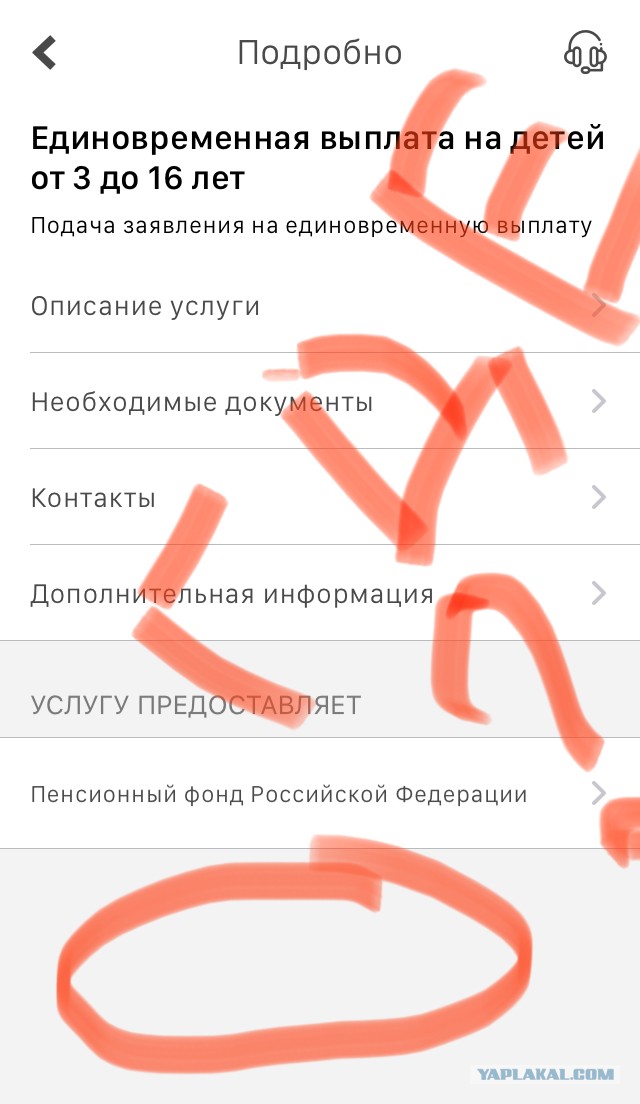 Почему государство не может оказать помощь хотя бы детям без дополнительных условий?