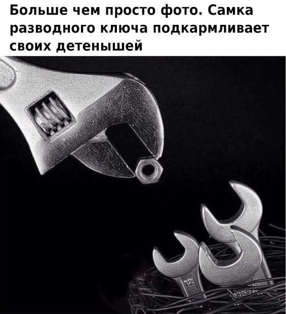 Подборка разнообразных картинок