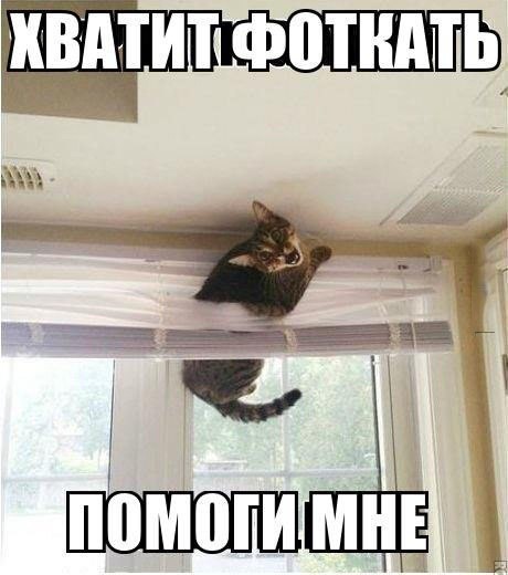 Немного картинок для настроения 22.08.20
