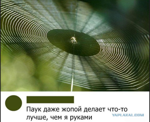 Фотки и картинки: юморные и красивые, забавные и милые 14.09.20