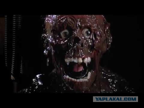 Температура тела колбасится. Что за фигня?