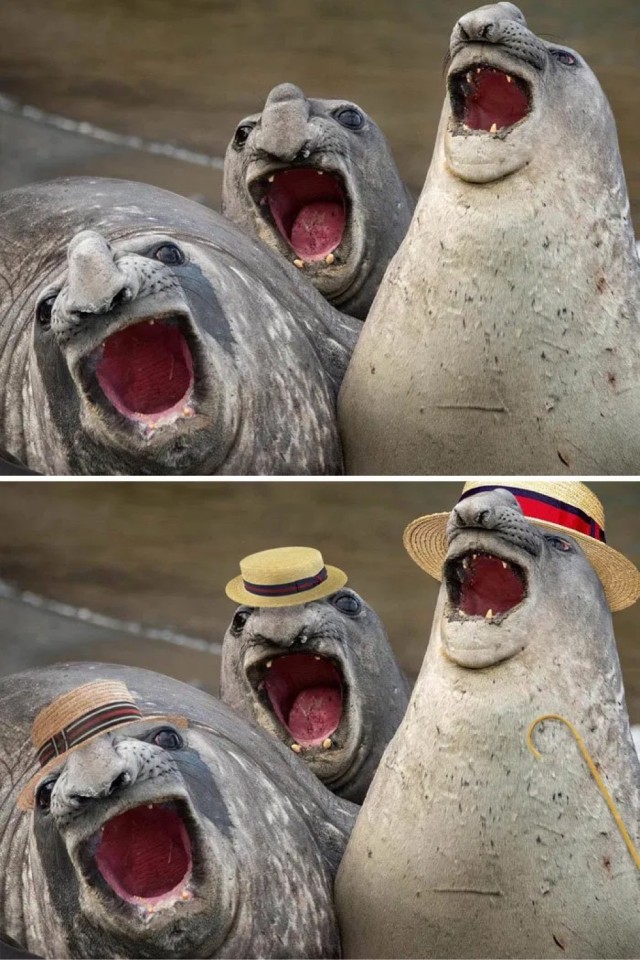 Фотошоп