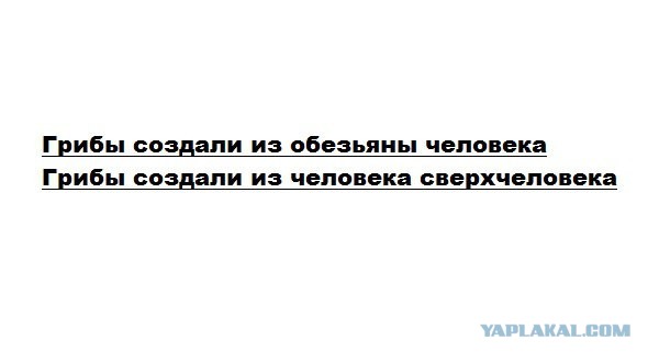 Немножко легкой шизы