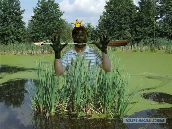 Из серии "отфотошопте меня"