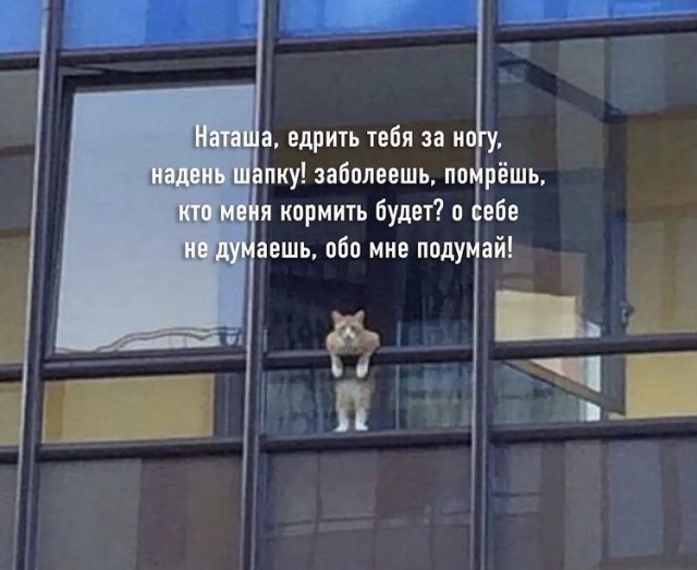 В развале брака "виноваты оба" ?