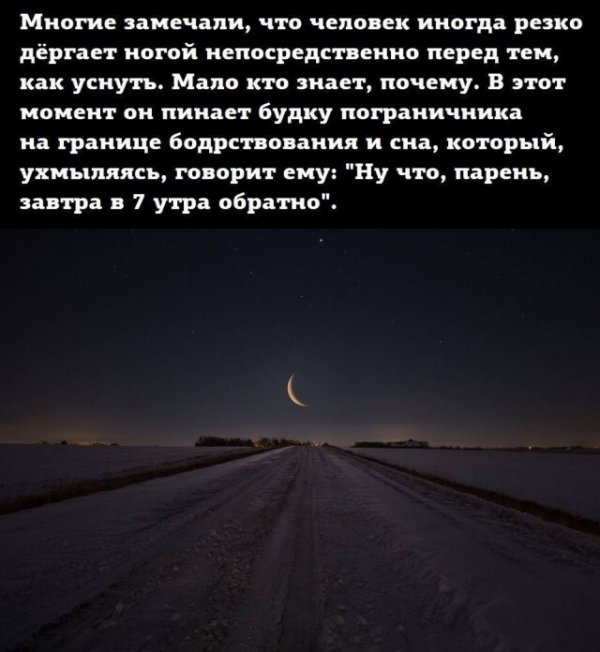 Картинки и мемы для настроения  022