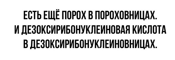 Сосаити (общество как оно есть)